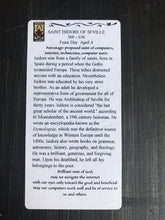 Load image into Gallery viewer, Folk Art Retablo Saint Isidore of Seville Internet Computer Professionals Software Developers Garlick