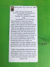 Load image into Gallery viewer, Folk Art Retablo Our Lady of Guadalupe Americas Mexico St. Juan Diego Garlick