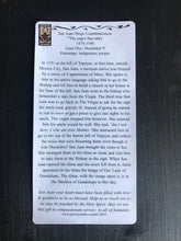 Load image into Gallery viewer, Folk Art Retablo Saint Juan Diego San Juan Diego Cuauhtlatoatzin Indigenous Peoples Garlick