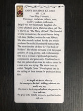 Load image into Gallery viewer, Folk Art Retablo Saint Brigid of Kildare Midwives Infants Nuns Poets Farmers Poultry Cattle Dairy Workers Garlick